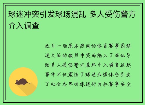 球迷冲突引发球场混乱 多人受伤警方介入调查